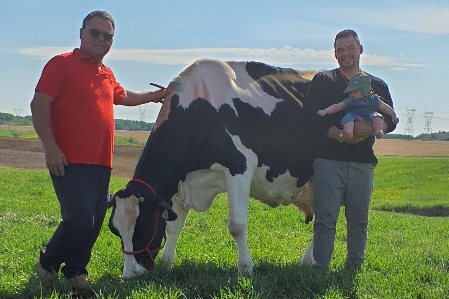 Éric, René et Alfred Harvey avec leur vache Narola, la plus âgée au Canada.