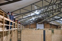 Vincent et Simon-Pierre discutent au-dessus d’une des quatre cellules d’entreposage du foin en vrac. L’installation permet d’avoir un foin sec de qualité et le foin sec produit de meilleurs fromages que l’ensilage.