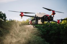 L’Agence de réglementation de la lutte antiparasitaire de Santé Canada (ARLA) devrait trancher sur l’utilisation des drones pour l’application de pesticides au plus tôt en 2025