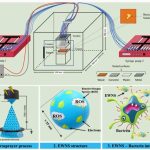 Une illustration du processus de décontamination des œufs.
