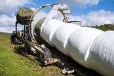 Acides ou inoculants pour l&rsquo;entreposage du foin?