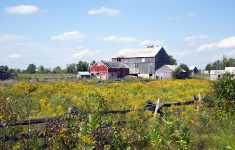 Augmentation du coût des terres agricoles