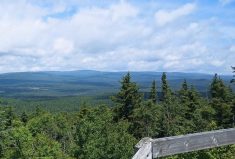 Vous avez manqué ces articles?