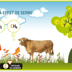 Et si les fourrages réduisaient le méthane entérique, soit les GES…