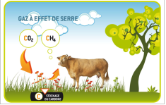 Et si les fourrages réduisaient le méthane entérique, soit les GES&#8230;