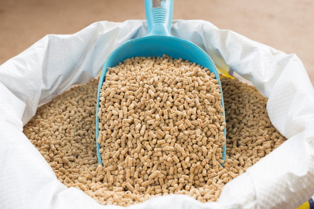 Le Règlement 2024 sur les aliments du bétail apporte plusieurs modifications intéressantes.