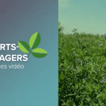 Fourrages: récoltez-vous ce que vous avez semé?