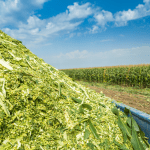Des ensilages de qualité, c’est payant!
