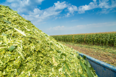Des ensilages de qualité, c’est payant!