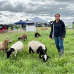La productrice de bovins et d'ovins Marie-Pier Beaulieu a apporté des moutons à Expo-Champs pour parler de pâturages avec les visiteurs.