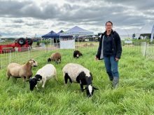 La productrice de bovins et d'ovins Marie-Pier Beaulieu a apporté des moutons à Expo-Champs pour parler de pâturages avec les visiteurs.