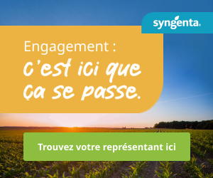 c'esdt ici que ça se passe! Trouvez votre représentant ici!