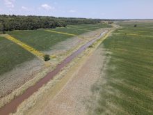 On voit bien les impacts des inondations suite au passage de Debby. Photo: Renaud Péloquin, Ferme de Ste-Victoire, Montérégie-Est