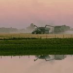 La récolte de soya a lieu aussi au Manitoba, sous la lune des récoltes.