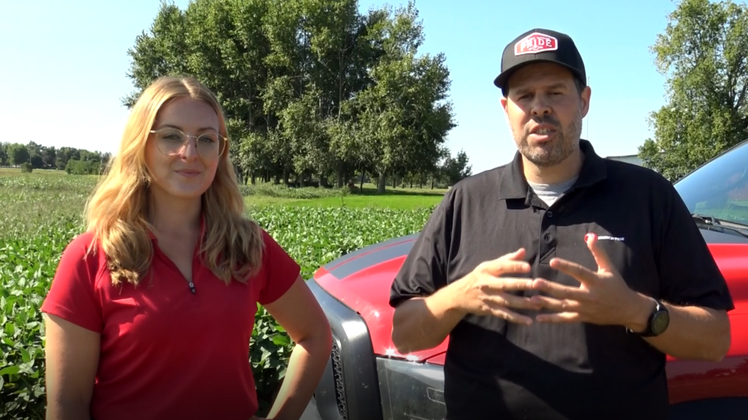 Les variétés de soya à port buissonnant