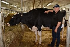 Pierre Boulet chez lui avec June à l'automne 2023. Photo prise dans le cadre d'un reportage paru en novembre 2023 dans Le Bulletin des agriculteurs.