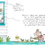Quelle est cette plante?
