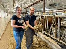 Marie-Ève Poulin et Pascal Quirion de la Ferme Éloanne ont transformé une étable entravée en étable en stabulation libre avec robot.