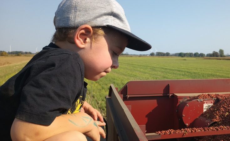 La récompense après un vendredi 13. Le copilote du samedi. Léo qui inspecte la qualité des haricots secs.
