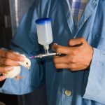 Des chercheurs québécois ont développé un nouveau vaccin prometteur contre l'influenza aviaire.