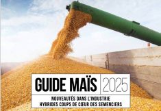 Guide de semences de maïs en ligne