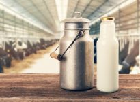 Le Rendez-vous laitier AQINAC fête sa 20e édition