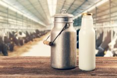 La Commission canadienne du lait revient sur l’étude sur le lait jeté