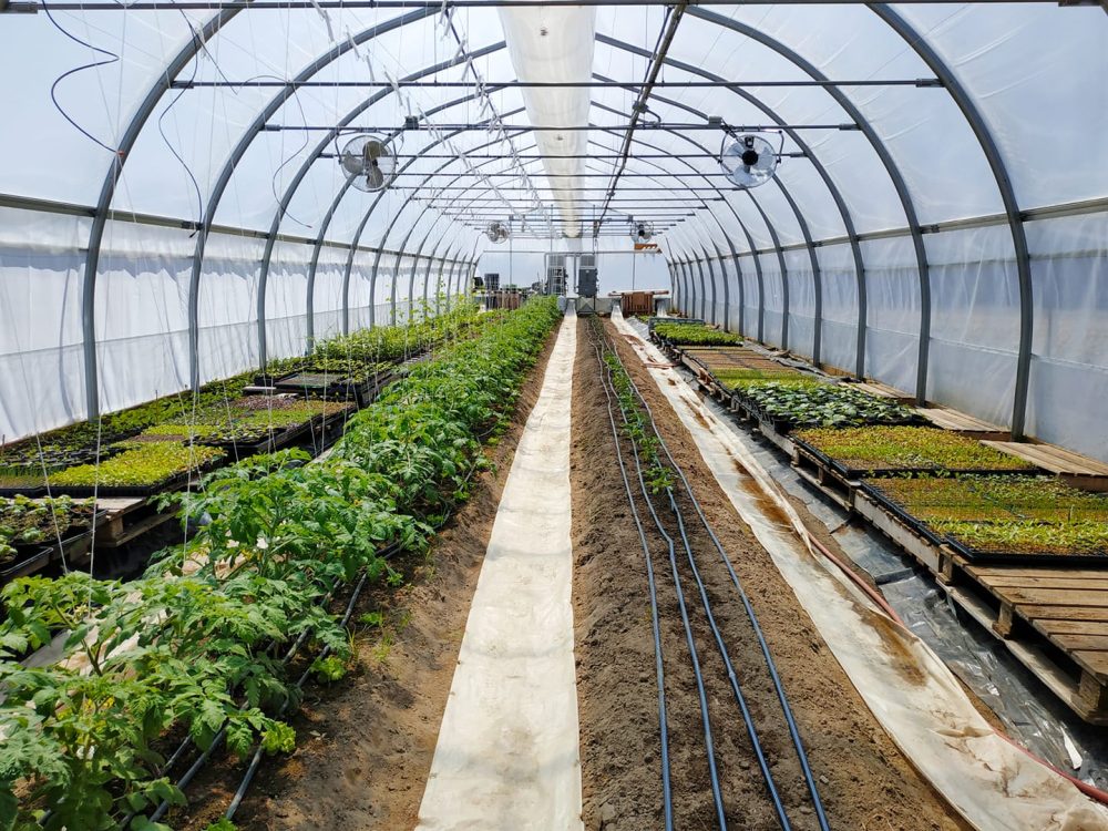 Une serre de l’incubateur Les Terres du possible à Saint-Anne-de-la-Pérade. 
Crédit photo : MRC des Chenaux