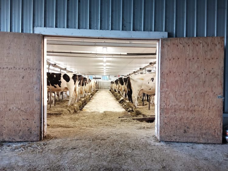 Ferme Panama avant les rénovations 2024