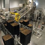 La production d'insectes chez Entosystem à Drummondville est robotisée.