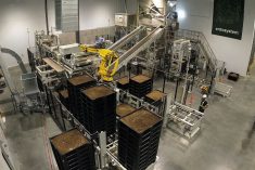 La production d'insectes chez Entosystem à Drummondville est robotisée.