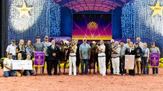 Dans la race Ayrshire, la ferme Vieux Village de Piopolis a dominé le concours. Vieux Village Gentleman Joy a remporté le titre de « Grande Championne femelle ». Pour sa part, Vieux Village G Montana a remporté celui de « Grande Championne femelle de Réserve ».