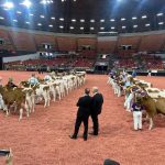 World Dairy Expo 2024