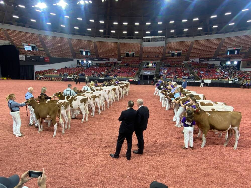 World Dairy Expo 2024
