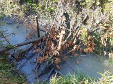 Photo : UPA Centre-du-Québec