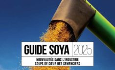 Soya : outil pour choisir ses semences 2025