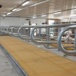 Malgré la fatigue, après la fin des travaux, il reste à pousser les vaches au robot.
