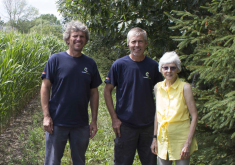 Les Caplette de la ferme Céréales Bellevue de Saint-Robert : Pierre, Paul et Pierrette.