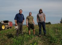 René Bessette et ses fils Jean-Philippe et Guillaume, les pieds dans la bande de 80 pieds qui a été cultivée en blé sur le tour d’un champ de maïs-ensilage.