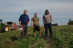 René Bessette et ses fils Jean-Philippe et Guillaume, les pieds dans la bande de 80 pieds qui a été cultivée en blé sur le tour d’un champ de maïs-ensilage.