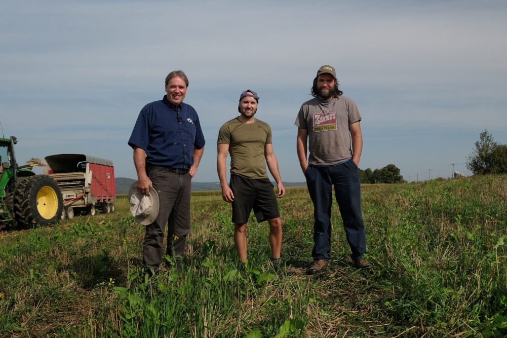 René Bessette et ses fils Jean-Philippe et Guillaume, les pieds dans la bande de 80 pieds qui a été cultivée en blé sur le tour d’un champ de maïs-ensilage.