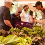 La Ferme aux petits oignons est devenue une coopérative de solidarité en 2023.