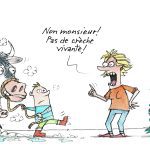 Entre le boeuf et l’âne gris…
