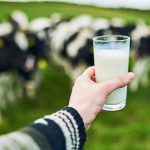 La gestion de l'offre a vécu plusieurs plusieurs coups au fil des ans, mais son avenir n'est pas incertain.