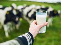 L’industrie laitière québécoise considérée comme un pilier économique