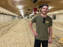 Hubert Desharnais aime beaucoup la ventilation hybride dans son nouveau poulailler un étage.