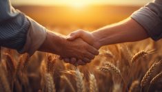 Faire durer: innover ou crever