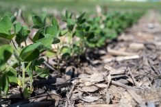 L&rsquo;outil Rotation$+ maintenant gratuit