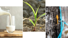 Top 3 des nouvelles les plus lues en 2024