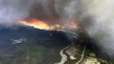 Le feu du parc de Jasper a ravagé 32 722 hectares de forêt et la ville du même nom.